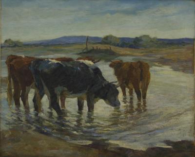 Vacas en la represa
