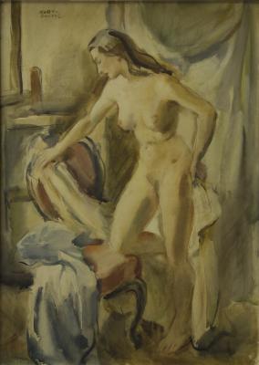 Modelo en el estudio